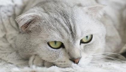 stake-郝伟：球队没伤病状态不错 力争过程和结果都完美