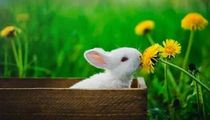 stake-【夜读】国米要贱卖埃里克森 下家还是阿森纳?